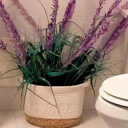 Soleil Con Piscina E Campo Da Tennis Condominiale *