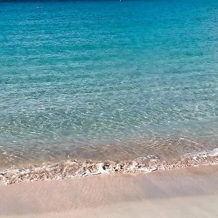 Soleil Con Piscina E Campo Da Tennis Condominiale בית נופש וילסימיוס