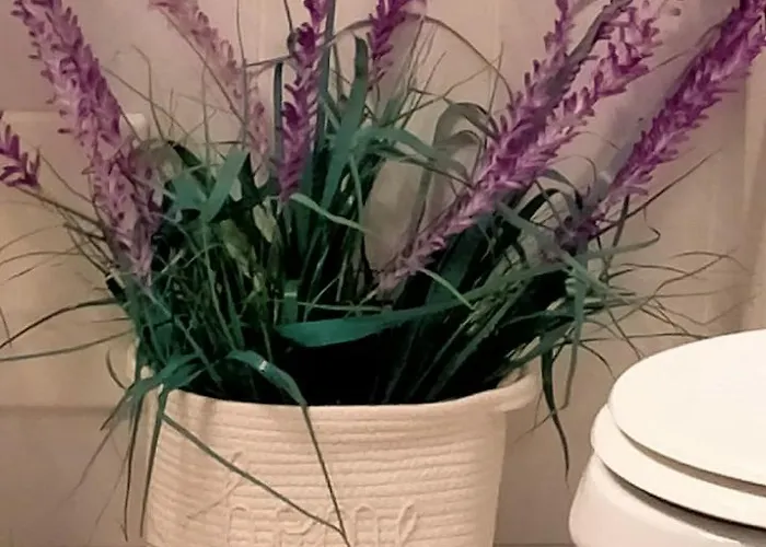 Soleil Con Piscina E Campo Da Tennis Condominiale *